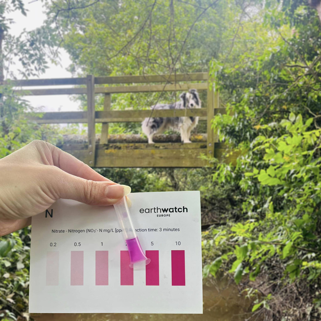 GUKWB---Sasha-Woods Comparing the water quality against the test card
