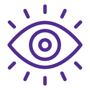 Icons_visual assets and collateral
