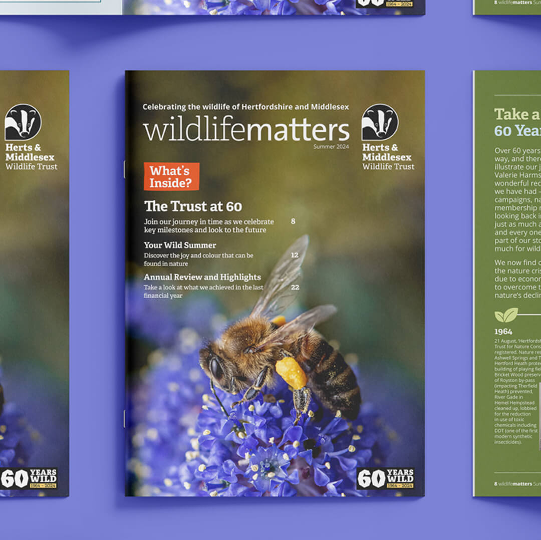 Wildlife-MattersCover Covers and back covers for Wildlife Matters